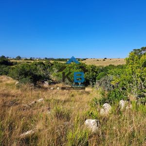 Campo José Ignacio