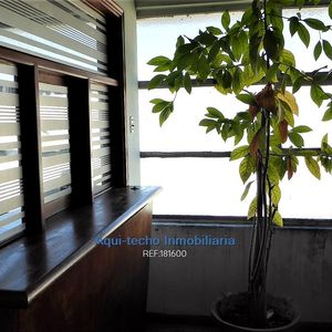 Venta Local Industrial Galpón Aguada
