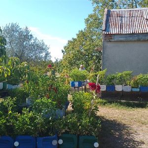 Venta De Chacra En Melilla