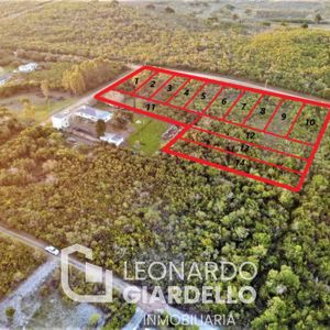 Venta - Terreno - Carmelo - Punta Gorda