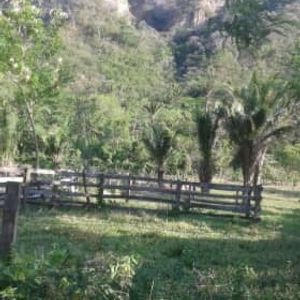 De Ocación Vendo $us.- 75.000, Quinta De 30 