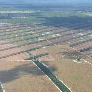 Propiedad Agricola Ganadera En Zona Este A 199 Km De Scz