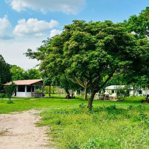 Quinta Motacusal En Venta Con Tres Casas Independientes