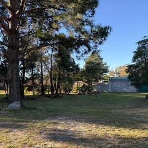 Bosque Y Playa En Las Toscas