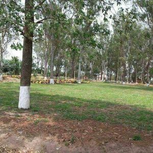 Bienes Raices Fenix Vende: