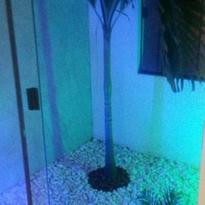 Hermosa Casa En Alquiler En Condominio