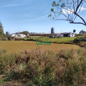 Venta Granja Avícola De 5,6 Has Sobre Ruta 11