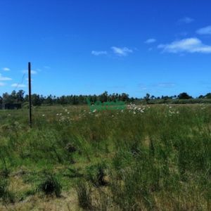 Venta De Chacra, En Pando,  3.8715 Hectáreas