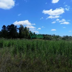 Venta Chacra, Pando, Villa Jardines, De 3.1250 Has.