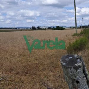 Venta De Campo, Próximo A Ruta 9, Maldonado, Km.82, De 5 Has.próximas A Los Dos Puentes