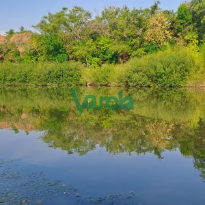 Venta De Campo, Paso Del Sordo, Florida, Excelente Campo De 37.5 Has