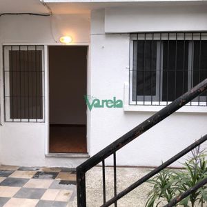 Alquiler Apto, Punta Gorda, 1 Dorm, Patio, Sin Gastos Comunes