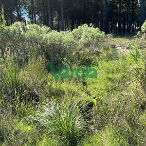 Venta Terrenos Financiados Con Entrega Mas Cuotas En Lomas De Solymar