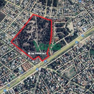Terreno En Venta Lomas 16 Ha , 49 M Sobre Giannattasiio!!