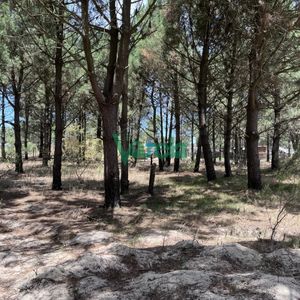 Terreno En Venta Lomas 16 Ha , 49 M Sobre Giannattasiio!!