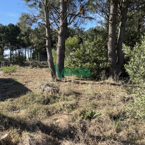 Terreno , Proximos A Giannattasio