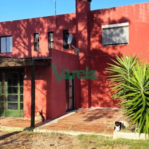 Campo 31 Has. Cañada Grande, Próximo A Empalme Olmos Y Ruta 8