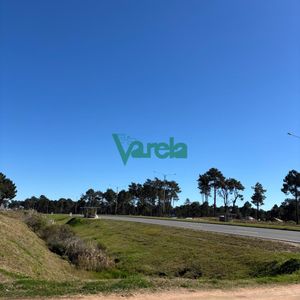 Venta Terrenos El Pinar Al Sur De Interbalnearia