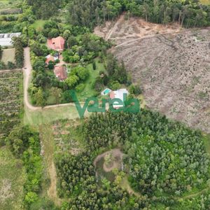 Venta Chacra Baldia 3 Hectares Ruta 6 Toledo 100% Financiada