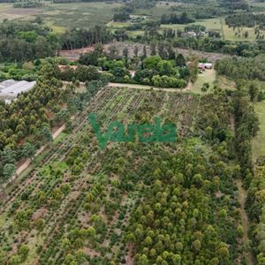 Venta Chacra 100% Financiada Toledo 3 Hectáreas