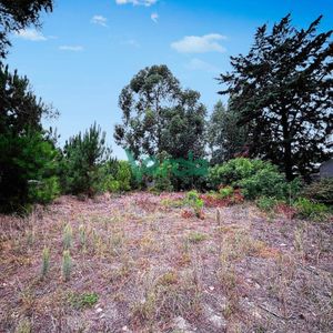 Terreno En Venta Pinar Sur 892 M2