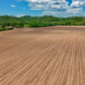 Propiedad Agricola En Venta Por Camiri Tc 7 