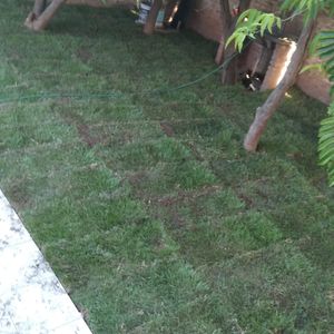 Departamento De Dos Habitaciones, Libres De Cargas , Anticretico Mínimo 1 Año  