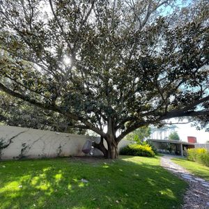 Venta   Apartamento Carrasco