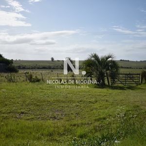 Campo Ruta 9  San Carlos