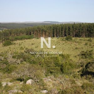 Chacra De 5 Has En Venta A Solo 23 Km De Garzon , Maldonado