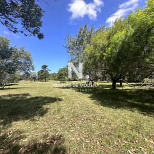 Vende Terreno Ideal Para Desarrollo De Barrio Privado. Punta Del Este