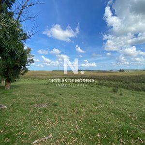 Venta De Campo En Laguna Del Sauce De 112 Has.