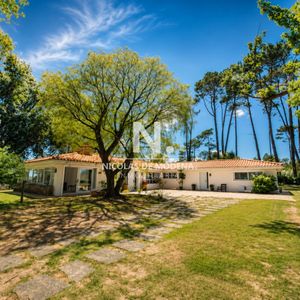 En Venta Casa De 5 Dormitorios En Punta Del Este, Golf. Con Parrillero Y Piscina