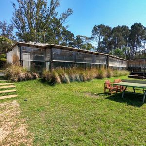 Venta Local En Punta Ballena