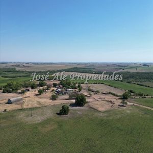 En Venta Campo Agricola De 187 Ha Ubicado A 23 Km De Carmel