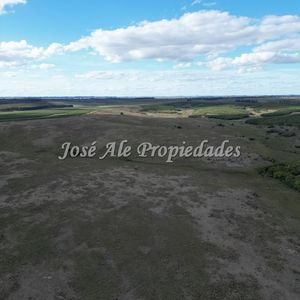 En Venta Campo De 663 Ha En 2 Padrones, Depto De Colonia