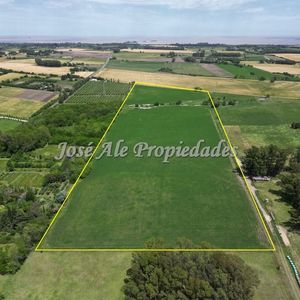 En Arrendamiento Campo Agricola Ganadero De 13 Ha Colonia