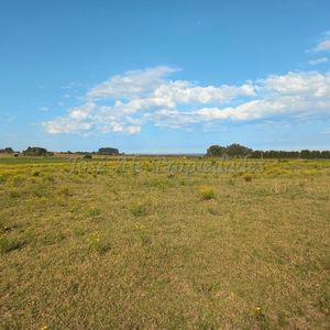 En Venta Chacra En Matamora Colonia Del Sacramento