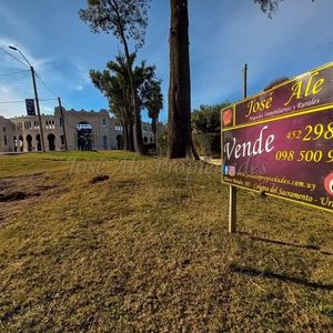 En Venta Terreno De 275m2 Ubicadao En El Real De San Carlos A Metros De La Plaza De Toros, Colonia