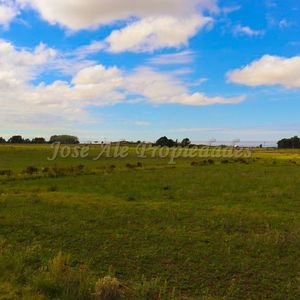 En Venta Parcela De 5 Hectareas, En Matamora, Colonia Del S