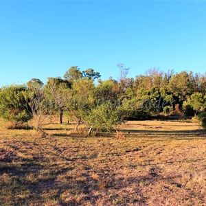 En Venta Fracción De Dos Hectáreas En Colonia Del Sacrament