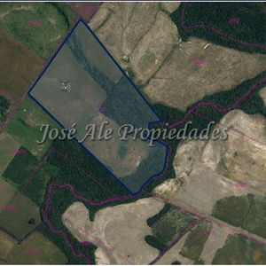 En Venta Campo De 49 Ha Ubicado A 10 Km De Carmelo, Colonia