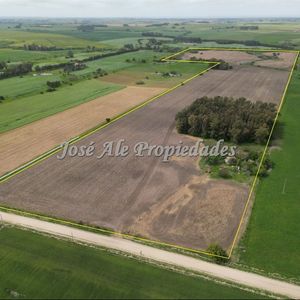 En Venta En  Exclusividad Campo De 41.5 Ha, Colonia
