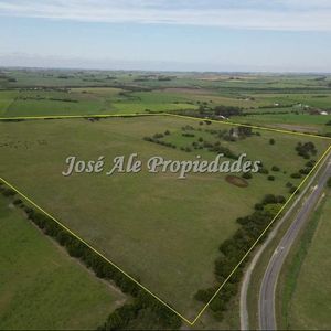 En Venta Nuevo Precio! Campo De 33.5 Ha Ubicado En Paso Antolin, Colonia
