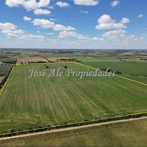 En Venta Campo 52 Ha Ubicado En Cosmopolita, Colonia