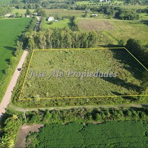 En Venta Hectarea Ubicada A 200m De La Ruta 1, Colonia