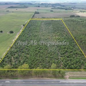 En Venta Campo De 8 Ha Sobre Radial De Juan Lacaze, Colonia