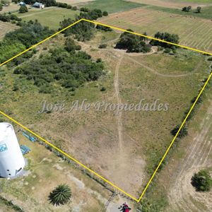 En Venta Lote De 3ha Ubicado En La Continuacion Del Barrio Los Algodones, Colonia