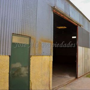 En Alquiler Amplio Galpón De 100m2 A Pocas Cuadras De La Rambla Colonia.
