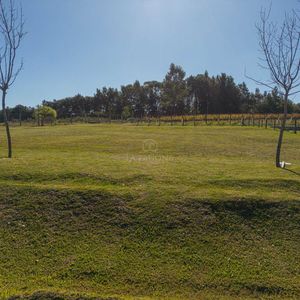 Terreno En Venta - Ref 729